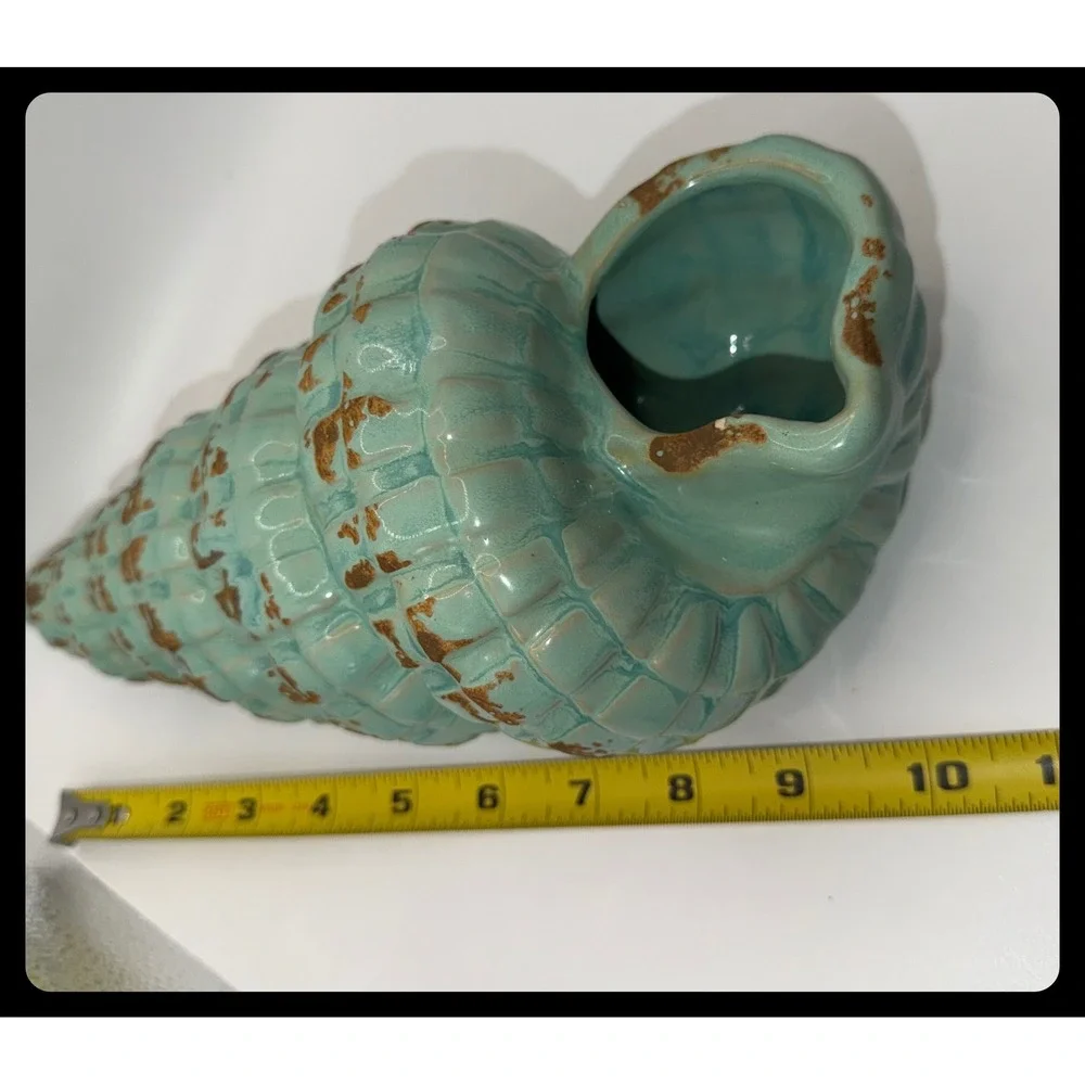 Unbranded conch shell